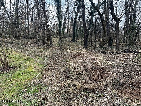 3rd image of 4410 Cave Mill Rd