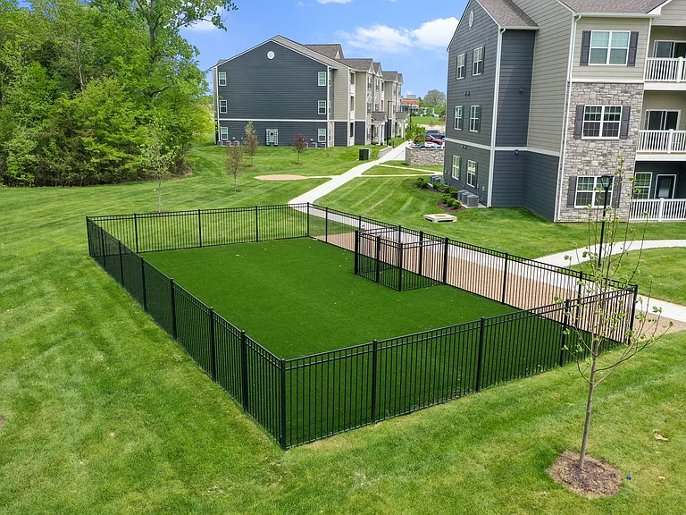 Gated Dog Park