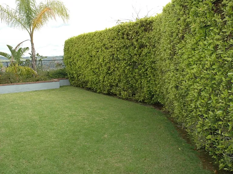 6374 E Paseo Celeste — Photo 110