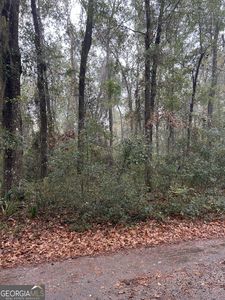 LOT 15 Harmony Hill Ln NE, Townsend, GA, 31331