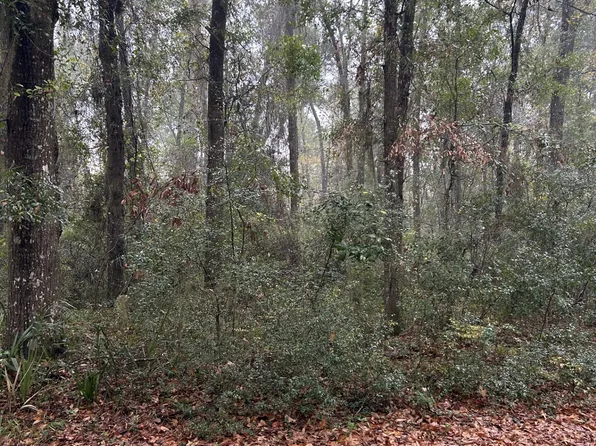 LOT 15 Harmony Hill Ln NE, Townsend, GA 31331