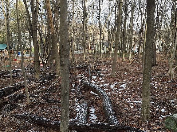 Approx. location (to NE)