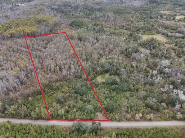 6511 NW Flowers Rd, Madison, FL 32340