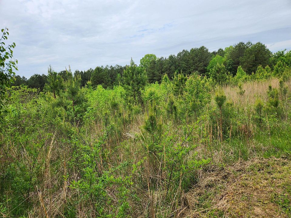 2nd image of 260 Old Mount Harmon Rd NE