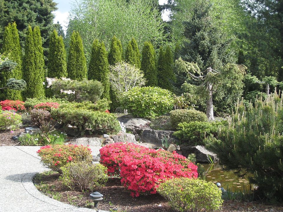 Garden and pond