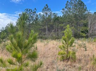 Clear Lake Rd LOT 4, Perkinston, MS 39573