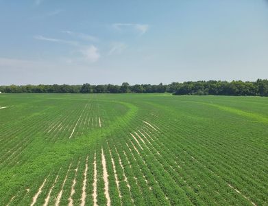 Burdeshaw Rd, Headland, AL, 36345