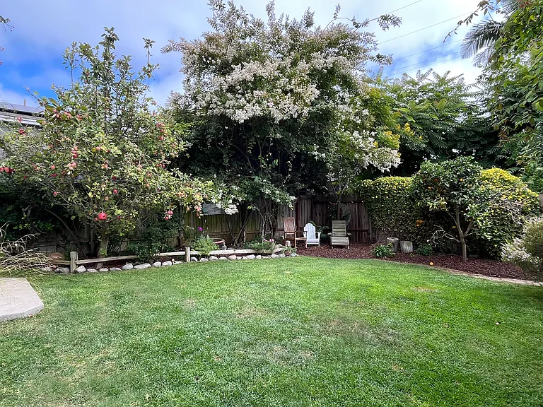 Fully fenced in large backyard with 2 mature apple trees, 2 producing avocado trees and a citrus "Fruit Salad" tree that has 6 different citrus varieties grafted onto one tree.