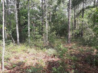 NW 30th Ave, Bell, FL 32619