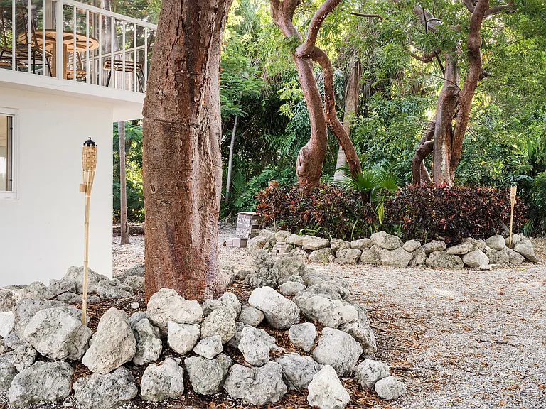 Bougainvillea St — Photo 83
