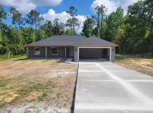 32417 Michigan Ave, San Antonio, FL 33576