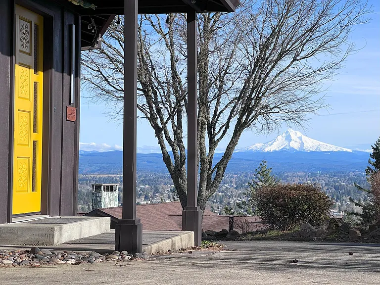 View from the driveway