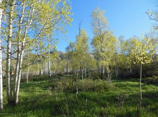 359 Hawk Ln, Basalt, CO 81621