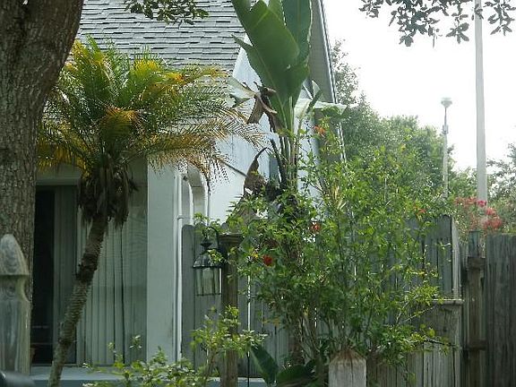3rd image of 11808 Sweetpea Ct