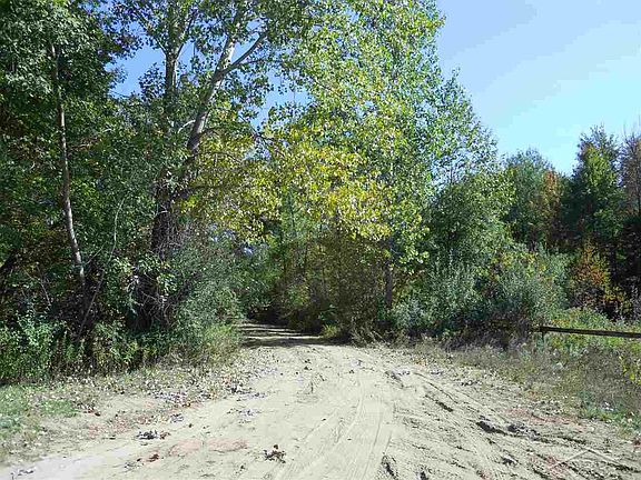 Driveway leading up to getting that trophy buck