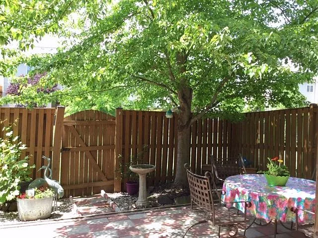 Custom patio with Big Tree