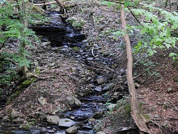 5th image of 7 Ravine Park N