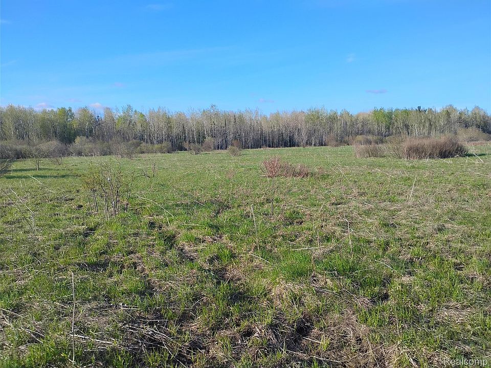 1st image of 19 W Mile Rd