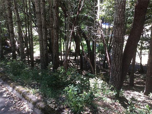 5th image of 24066 Willow Ln