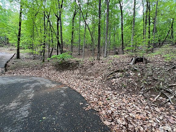 4th image of 387 Windflower Dr