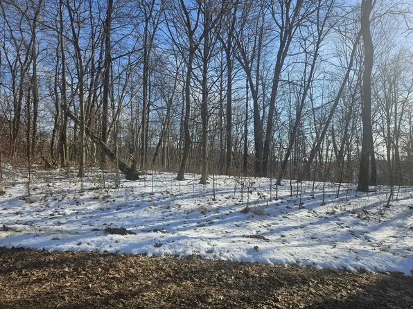 9450 DEEPWOODS LANE #Lt53, Bagley, WI 53801