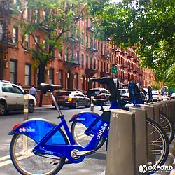 Rented by Oxford Property Group