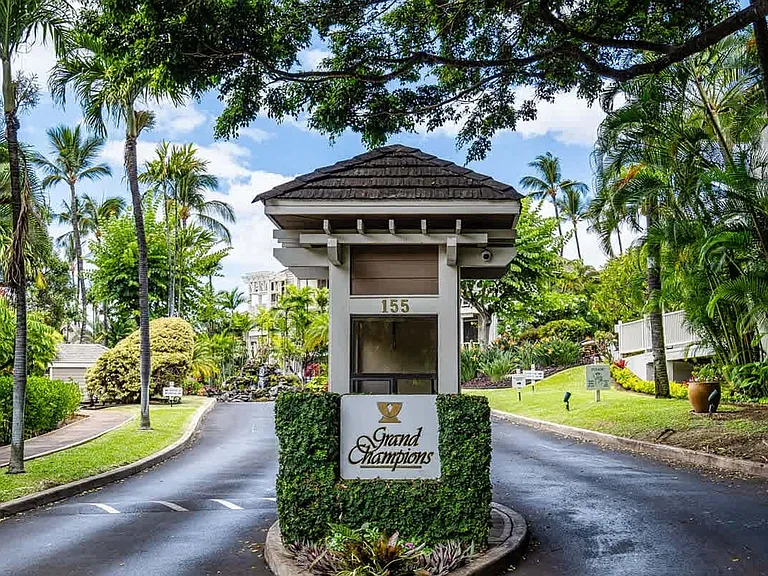 155 Wailea Ike Pl #ID1295779P — Photo 30