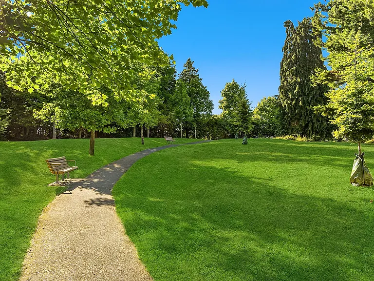 Nice quiet park area for relaxing or enjoying time with friends.