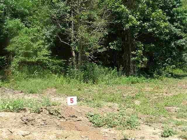 2nd image of 105 Steve Brown Rd