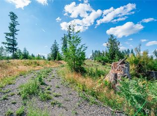 0 Lot 8 S Silver Lake Road, Castle Rock, WA 98611