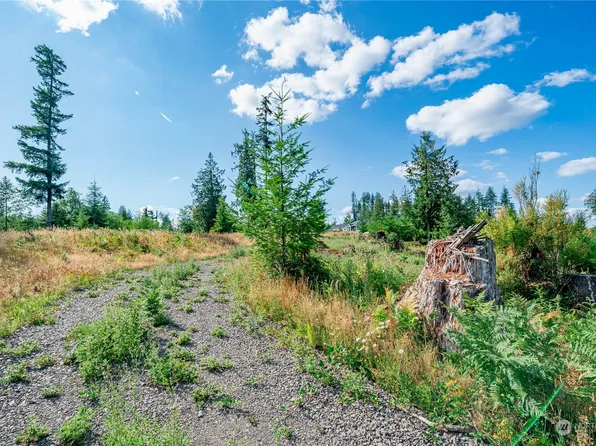 0 Lot 8 S Silver Lake Road, Castle Rock, WA 98611