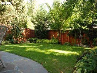 Back Yard 1