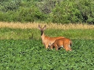 Willow Rd NE, Carlos, MN 56319