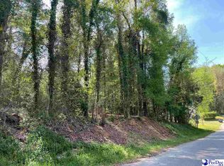 80/hurst Ave, Chesterfield, SC 29709