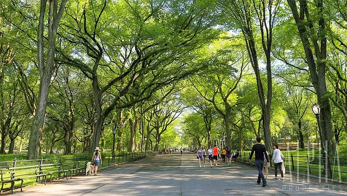 Rented by Alpha Properties NYC I LLC | media 28