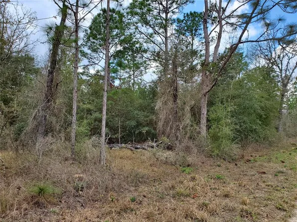 00 NE 14TH STREET E LOT 10, WILLISTON, FL 32696