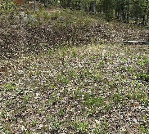 2nd image of Bushwolf Lake Rd