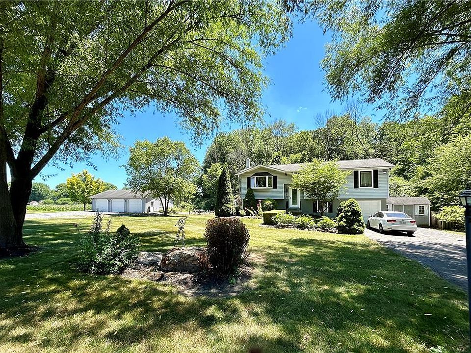 2nd image of 4667 Chestnut Dr