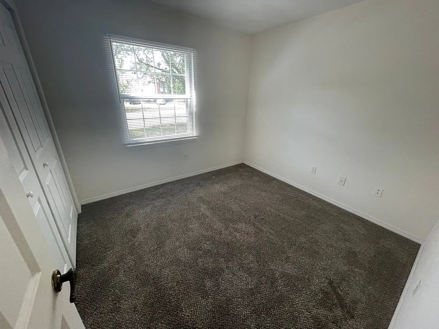 Ironwood — Photo 4