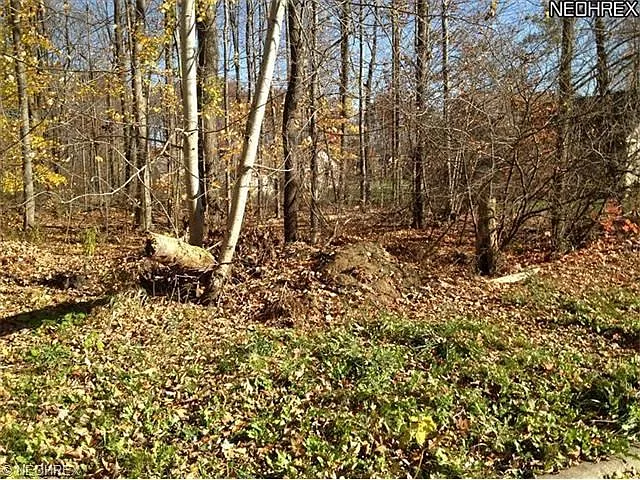 43 Brookview Dr photo 1