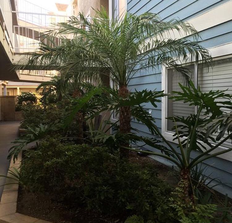 1st image of 628 Daisy Ave APT 224