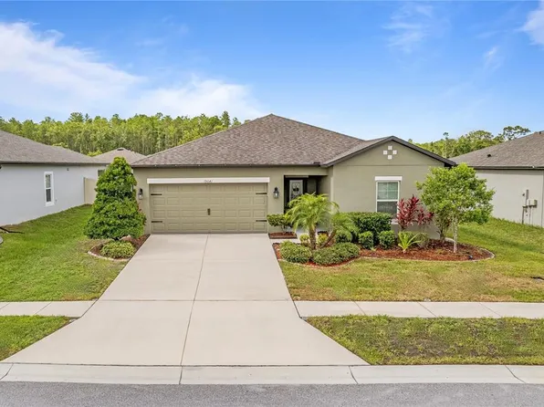 19041 Alfaro Loop, Spring Hill, FL 34610