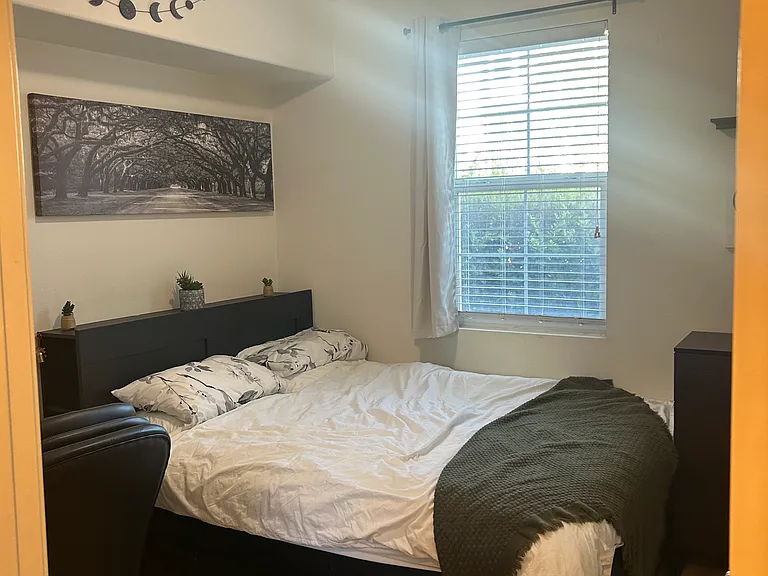 1411 Abelia — Photo 1