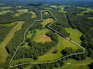 1135 Daisy Creek Farm Rd, Westfield, NC 27053