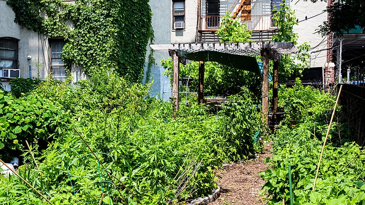 Rented by Nooklyn NYC LLC | media 54