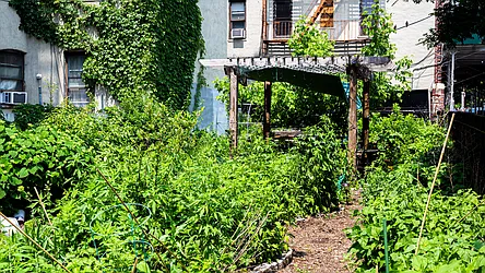 Rented by Nooklyn NYC LLC