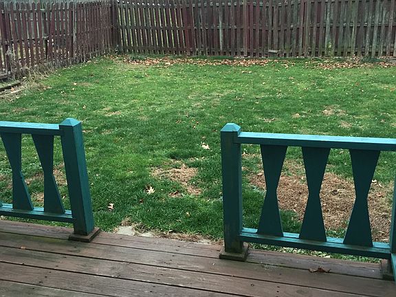 Fenced in yard