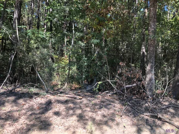 Tbd Gross Rd, Clinton, LA 70722