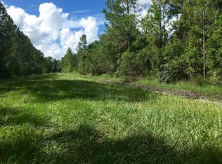 2890 Pineapple St, Bunnell, FL 32110