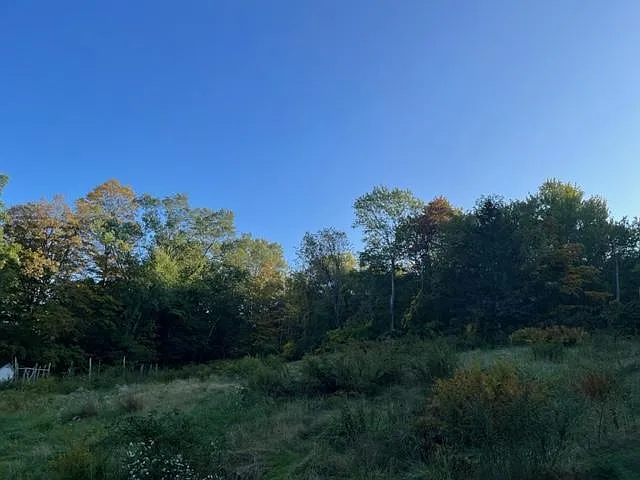 407 S Britain Rd — Photo 8